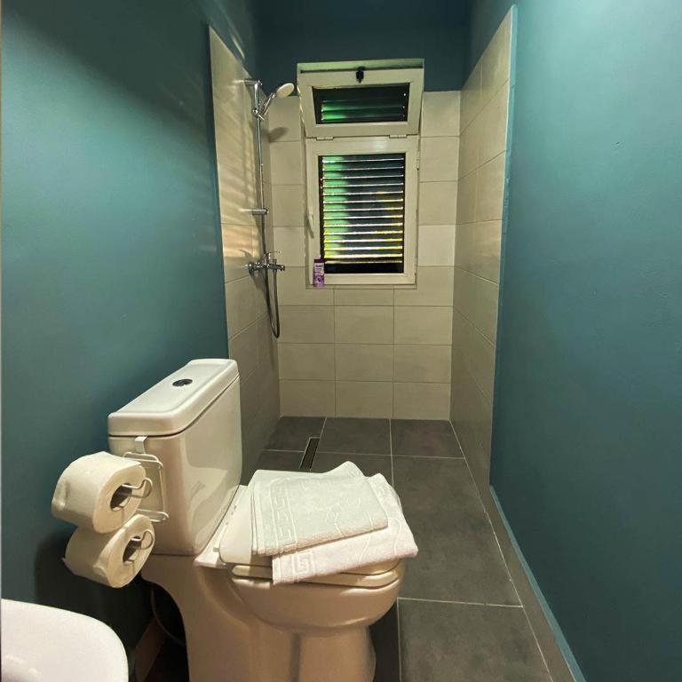 Agroturizem Hotel Vila Franceze Koman ภายนอก รูปภาพ