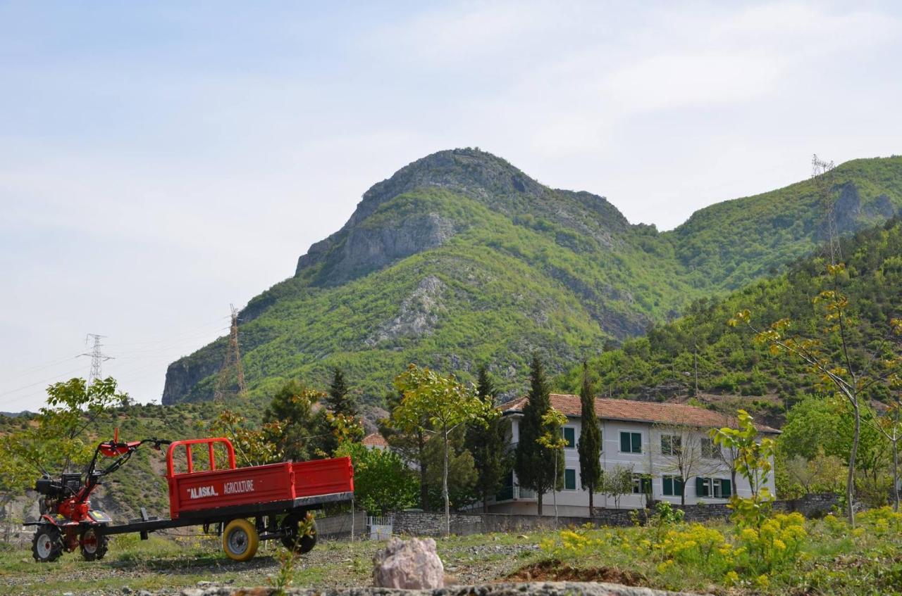 Agroturizem Hotel Vila Franceze Koman ภายนอก รูปภาพ