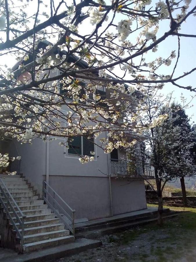 Agroturizem Hotel Vila Franceze Koman ภายนอก รูปภาพ