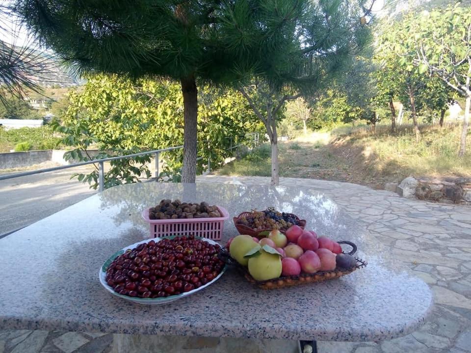Agroturizem Hotel Vila Franceze Koman ภายนอก รูปภาพ