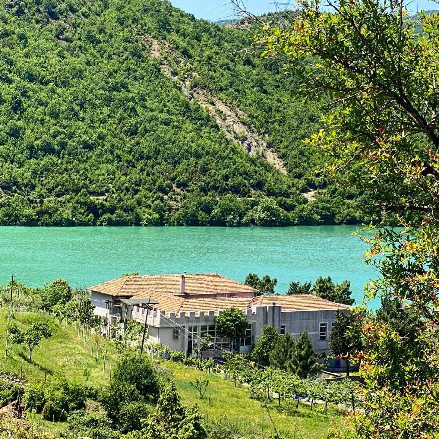 Agroturizem Hotel Vila Franceze Koman ภายนอก รูปภาพ
